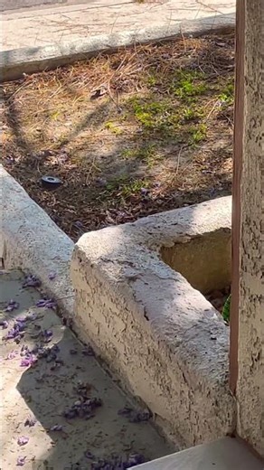 it’s sunny outside and it’s windy outside this afternoon