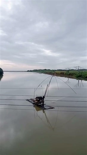 mancing udang #nature #mancing #adventure #shorts