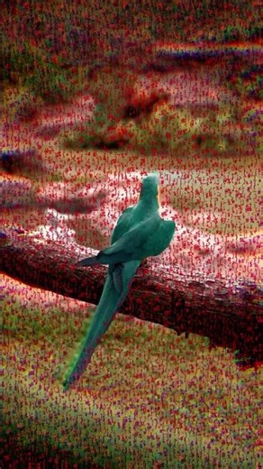 ASCII Exploration | Made with theSauceCode