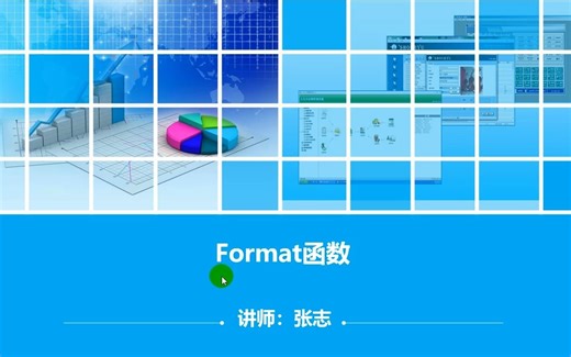 Format函数