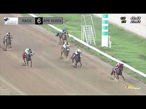 CARRERA 6 - 10/ABRIL/2025 (WIN WIN ROSE)