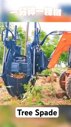 Tree spade can quickly excavate and transplant seedlings and saplings. #skidsteerloader #landscaping