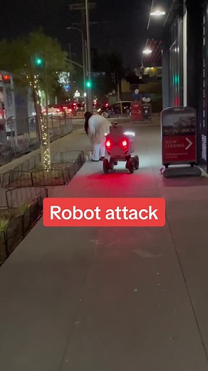 Simone the Food Delivery Robot Under Attack