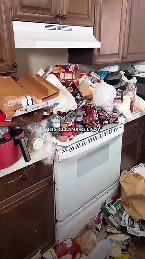 11K views · 381 reactions | Auri katarlina a Finnish lady does cleaning and she has made millions out of it using social media following, what do you use your following? | Kakensa Media | Facebook