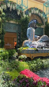 Bellagio never disappoints. 👌 | Sparkling Sprite