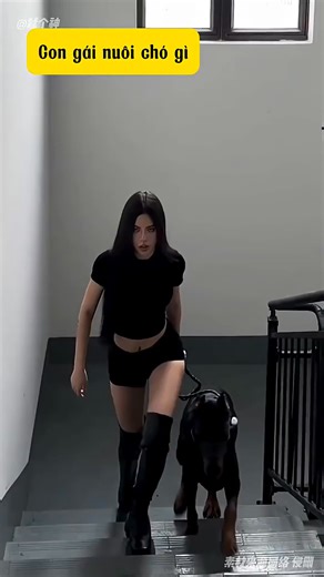 CON GÁI NÊN NUÔI LOẠI CHO GÌ ĐỂ BẢO VỆ BẢN THÂN #shortvideo | Thời trang con gái
