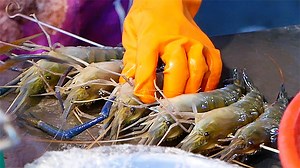 Taiwanese Street Food - LIVE GIANT PRAWNS Shrimp Seafood Balls Kaohsiung Taiwan | Travel Thirsty