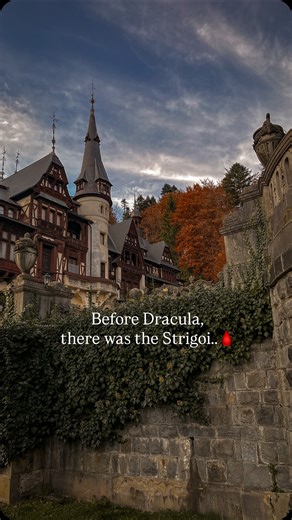 Marina | travel guide & storyteller of magical places on Instagram: "Before Dracula, there was another name whispered in fear — Strigoi.🩸 Restless spirits of the dead, the ‘unburied’, neither alive… nor gone. Half-human, half-memory. In Romania, they called them Strigoi — the ones who return, hungry for what was lost. In Italy, their shadow became Striga — the witch. Legends travel faster than the living. From the Carpathians to the Apennines, one word echoes through centuries of fear, haunting