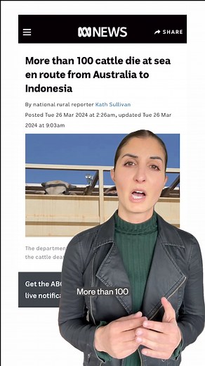 3.7K views · 72 reactions | Access to veterinary care is the least the victims of live export deserve. Speak out today to demand that veterinarians accompany EVERY live export shipment  https://animalsaus.co/4cB4Kpq | Animals Australia | Facebook