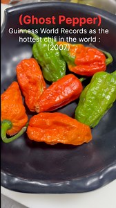 Origin of Bhut Jolokia (Ghost Pepper)Bhut Jolokia, also known as Ghost Pepper, is originally from Northeast India, especially from the statesof:Assam:Nagaland :Manipur• In 2007, Bhut Jolokia was certified by Guinness World Records as the hottest chili in the world : | Samel Lama