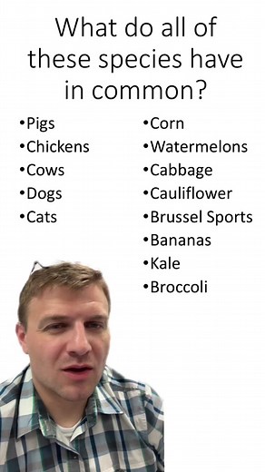 Understanding Artificial Selection in Biology