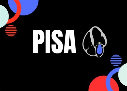 PISA: Tips, Tricks & More