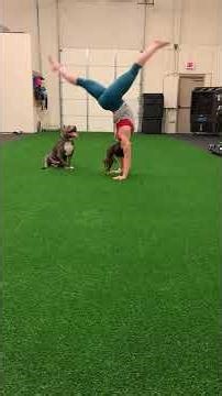 Front Walkover basics for gymnastics