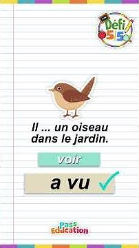 Aller, venir, voir, faire et dire au futur – CE1 CE2 CM1 CM2 – Exercices en vidéo – Défi 5/5