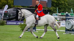 Want to buy a top drawer cob? This guide with tips from an expert will aid your search