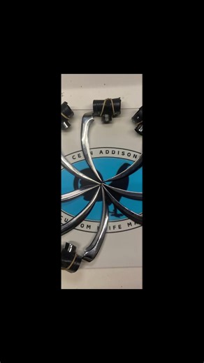 Exploring Gamefowl Breeding at Lazy 7 Farm