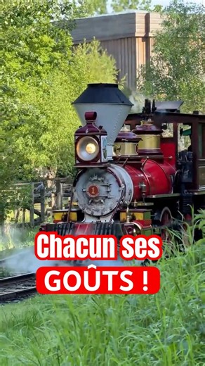 Il en faut pour tous les goûts ! 🚂✨