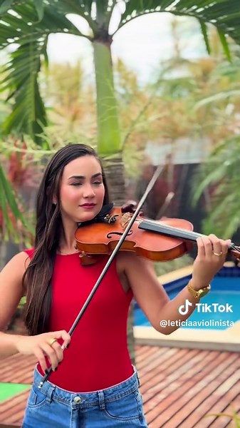 Carol of the Bells: Violin Cover for Christmas