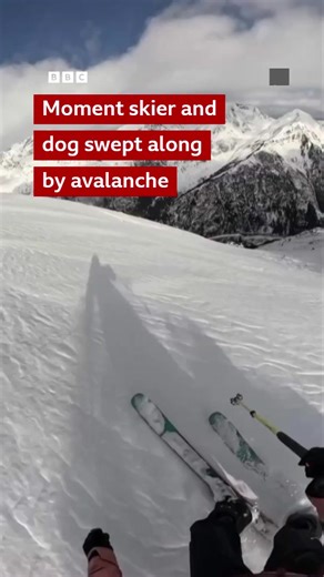 Spanish skier Ares Masip was out with her dog on the Pic de l'Hortell, a mountain in Andorra, when she was caught up in an avalanche. 🎧 More incredible avalanche survival stories: https://bbc.in/3Nrgx1f | BBC World Service