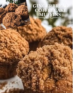 Perfect Gingerbread Coffeecake Muffins for any cozy moment. Ingredients: 2 cups apple cider 6 tbsp unsalted butter 1/2 cup brown sugar 2 eggs 1/4 cup plain yogurt (substituting for nonfat plain Greek yogurt) 1 tsp vanilla extract 2 cups whole wheat flour 3 tsp cinnamon 1/2 tsp nutmeg 2 tsp ginger 1/4 tsp cloves 1/4 tsp salt 1 tsp baking soda 1 tsp baking powder For the Topping: 2/3 cup whole wheat flour 1/4 cup melted butter 1/2 tsp cinnamon 4 tbsp brown sugar Directions: Preheat your oven to 35