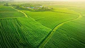 Institute of Water Research