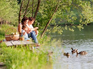 TOP 10 Best Picnic Spots in and around Mesa AZ (by a local)
