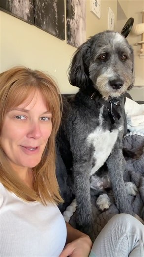 When Your Dog Meets Your New Cat: A Friend's Dilemma