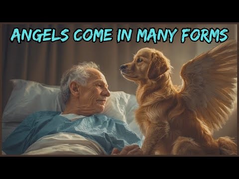 Did These 3 People Really Meet Angels?