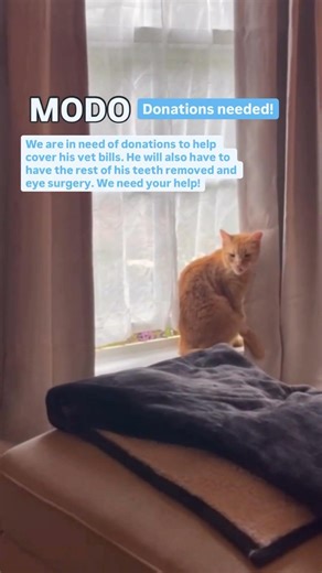 Donations needed for MODO in Austin, Tx!