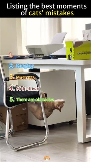 first heat jump into the washing machine