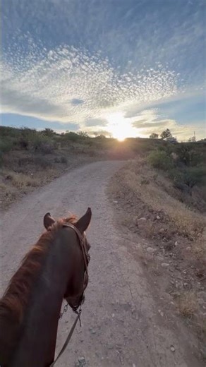 Even if the little things go wrong everything feels so right 🙏❤️🌹