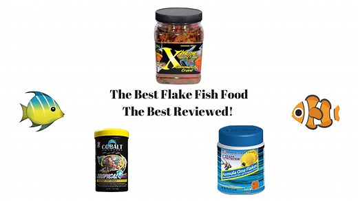 Best Flake Fish Food - The 7 Best (2024 Review)