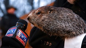 Groundhog Day 2022: Punxsutawney Phil sees his shadow