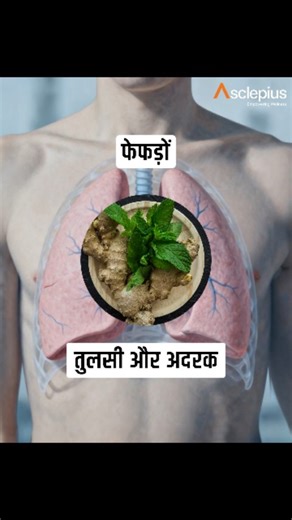 Asclepius Wellness on Instagram: "Today’s food choices define tomorrow’s organ health—5 simple tips you should follow. #knowyourbody #foodforhealth #wellness #lunghealth #guthealth #fitness #selfcare #healthreels #dailyhealthtips #viral #trending #fypシ❤️💞❤️"