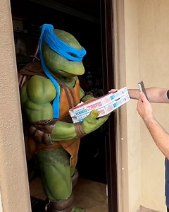 He RAN 😂🐢 | LADbible