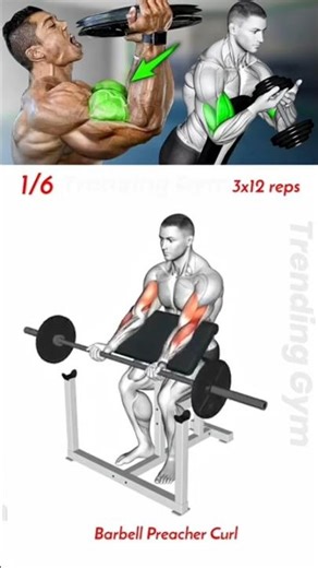 Build BIGGER Biceps 💪 Best Exercises for Massive Arms!