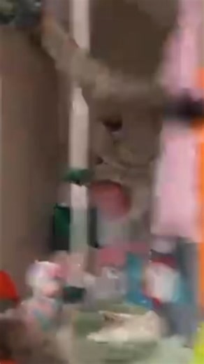 3K views · 230 reactions | MonkeyHappy on Reels | Facebook