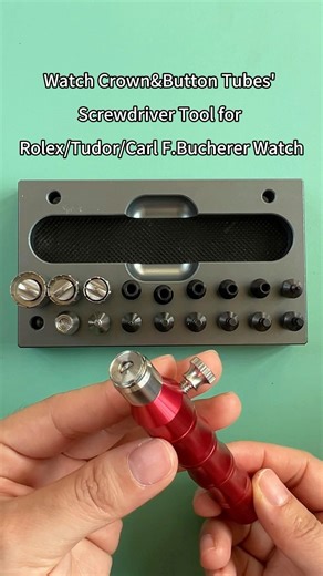 Watch Crown&Button Tubes'Screwdriver Tool for Rolex/Tudor/Carl F. Bucherer Watch #Rolex #Tudor