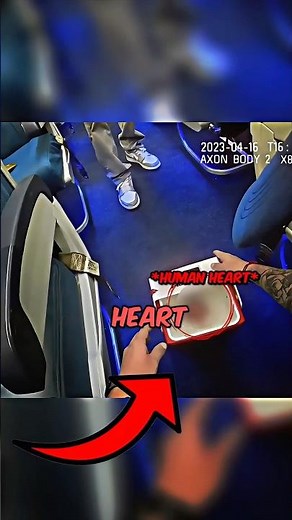 Cop Finds a HUMAN HEART on This Plane