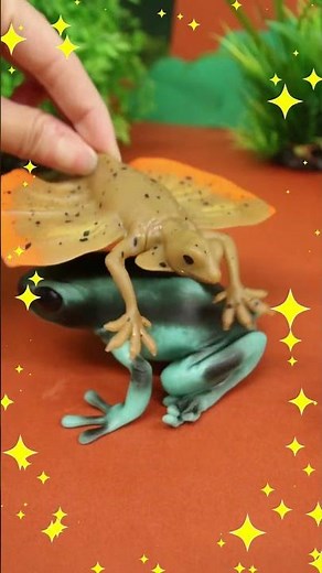 ジャワトビトカゲ VS マダラヤドクガエル！ジャングル＆Co.・子供向け知育教育★サンサンキッズTV★ #shorts #サンサンキッズtv #サンサンキッズtv