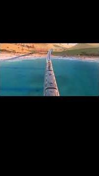 Try everything! ("Zootopia" scene)