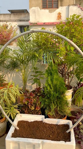 180K views · 1.2K reactions | DIY trellis ideas for climbing plants 華 #vine #creeper #vines #climber #plantbased #diyideas #crafting #terracegarden #viralreelfb #trendsetter | Pro_planting | Facebook