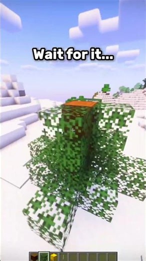 Cute Christmas Tree Build Tutorial! 🎄 #shorts