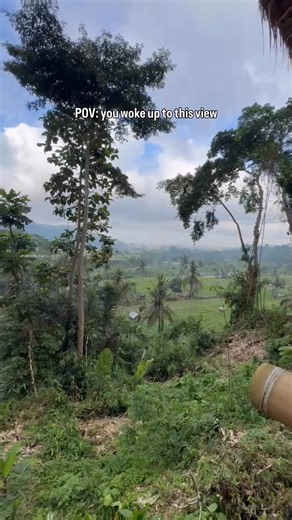 2.8K views · 12 reactions | Imagine sipping your morning coffee above the trees ☕ … that’s Bali’s treehouse stays for you. Read here to know where to book them  https://balibuddies.com/top-5-tree-house-hotels-in-bali/ | Bali Buddies | Facebook