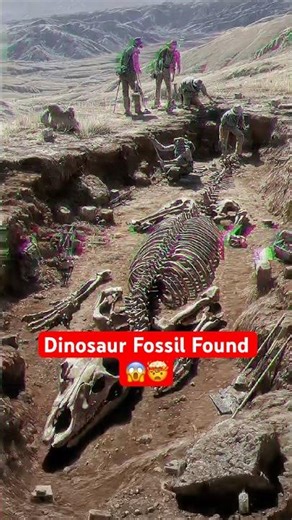 OMG! Giant Fossil Found! 🦴😱 #shorts #youtubeshorts #fossils #prehistoric