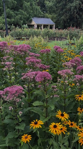 Stormwater runoff is one of the biggest causes of water pollution in...