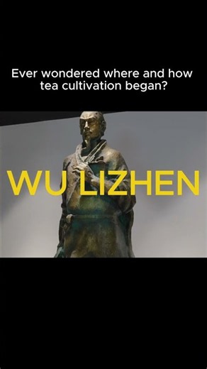 The Birthplace of Tea