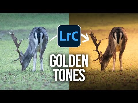 Create THIS BRIGHT GOLDEN Style Using ONLY LIGHTROOM!