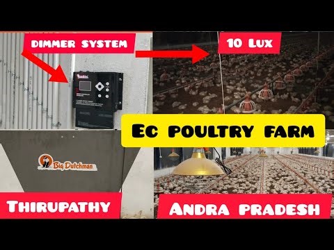 EC POULTRY MANAGEMENT