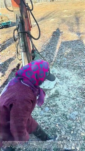 Root Extractor: The Excavator's Surgical Removal of a Subterranean Anchor